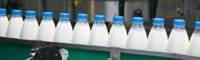 How alike is your business to a dairy farm?