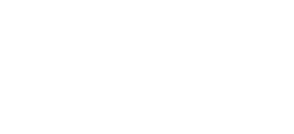 Onyx logo - APPROVED-white
