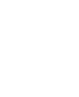 ups-logo-w