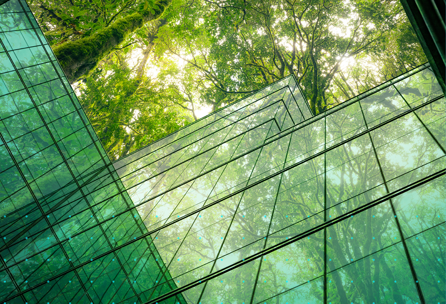 Stem Blog Leading the Future of ESG Reporting